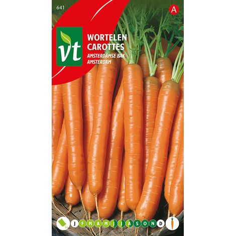 Carottes Amsterdam - Ca. 6 gr (Livraison Gratuite) (1/2)