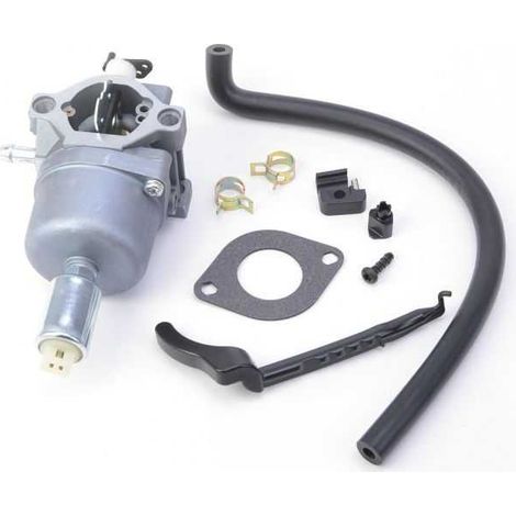Carburateur pour moteur Briggs & Stratton 794572 (1/5)
