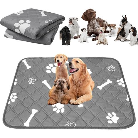 Lot de 2 (60x45cm) Tapis de Dressage pour Chien, Tapis Educateur Chien Réutilisable,Ultra Absorbant,Lavable,Antidérapant,Tapis Absorbant Chien pour Chiens, Chats et Lapins (1/5)
