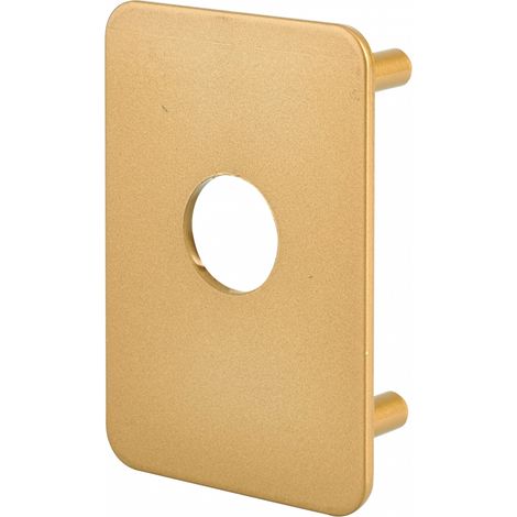 Piastra di rinforzo per chiavistello CAPITAL, finitura oro – THIRARD