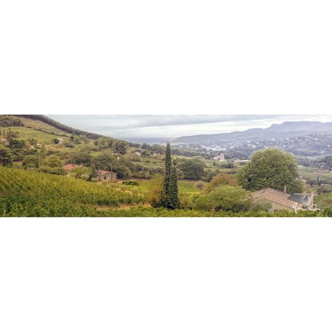 Tableau sur toile Cassis pluie 30x97 cm - Impression sur Toile Murale Décorative - Image imprimée en HD sur Toile - Toile sur Châssis en Bois FSC - Fabriqué en France