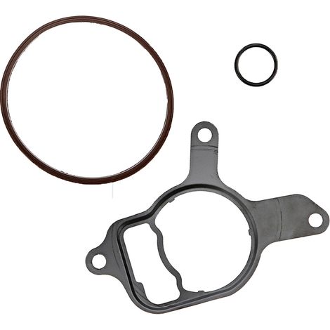 Kit de reconstruction de joints et cylindre pour pompe à vide Master (1/5)