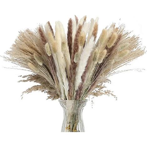 Pampasgras 85 Stück getrocknetes Pampasgras R - R Bouquet-getrocknet für Ric-Hochzeitstisch (1/5)