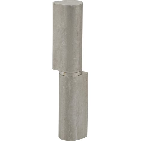 Thirard – Paumelle inox pour porte d'entrée et d'intérieur – Dimensions 20x25x120mm – Fixation à souder – Pour espaces confinés