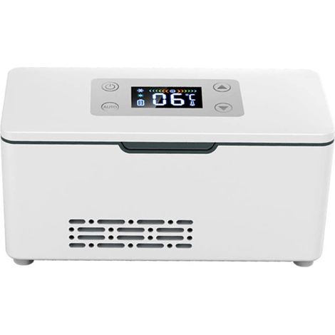 Frigorifero portatile per insulina, refrigeratore per farmaci, custodia per insulina per auto, minifrigo, piccolo frigorifero, per auto/viaggio/collirio, 1 batteria (1/5)