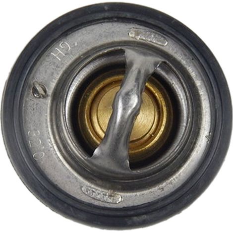 Kompatibel mit Wuling Roewe Kfz-Teilen und -Komponenten Thermostat L44GBA 30803 50960 (1/3)