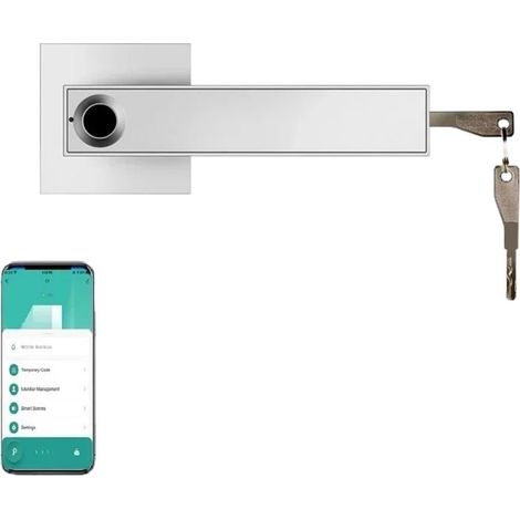 Serrure électronique intelligente à empreintes digitales, mot de passe avec sécurité de porte numérique, serrure biométrique, serrure de porte d'appartement de chambre à coucher familiale(Silver) (1/5)