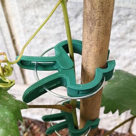 Lot de 1 clips pour plantes grimpantes, supports de plantes grimpantes, pinces pour jardin, outils de jardinage pour soutenir le redressement des tiges de plantes, vignes, treillis de fleurs, vert (1/5)