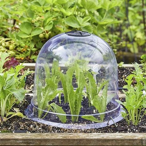 12PièCes Serre en Plastique RéUtilisable Jardin Plante Cloche Couverture Plante Germination Couverture DôMe Gel Garde Gel (1/4)