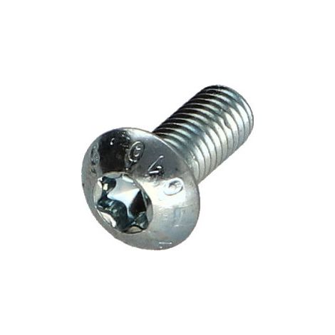 Vis métaux Tête bombée TORX T30 M6X25 Classe 10.9 Acier zingué