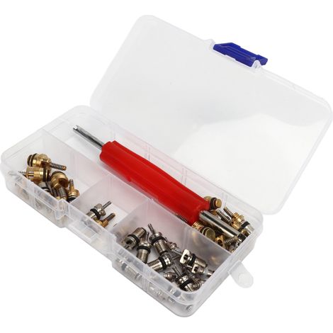 Kit de 41 pièces noyaux de valve AC maître avec outil de retrait R12 R134a, pour réparation climatisation automobile, compatible avec la plupart des voitures (1/5)