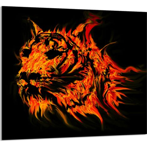 Panneau de verre pour cuisine 65x60 Tiger (1/5)