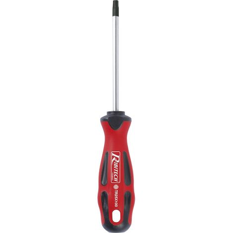 Tournevis Torx T25 6x100 aimanté (1/2)