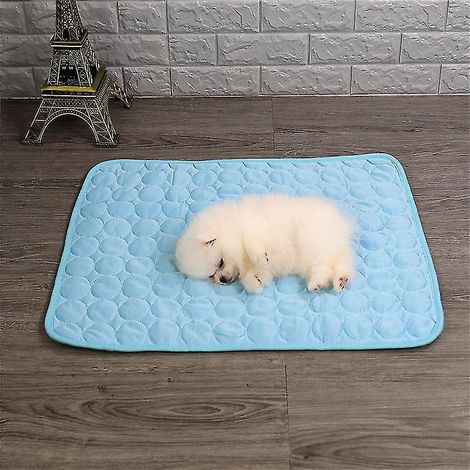 Kühlmatte aus Eisseide für Hunde und Katzen – Kühlkissen für die Hundehütte – 40 x 30 cm – Blau (1/5)