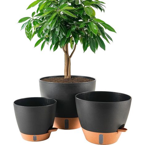 Flower pots 8/10/12 in – Recyclable polypropylene – Drainage holes and water level indicator for air circulation – Includes saucer, Black (1/5)