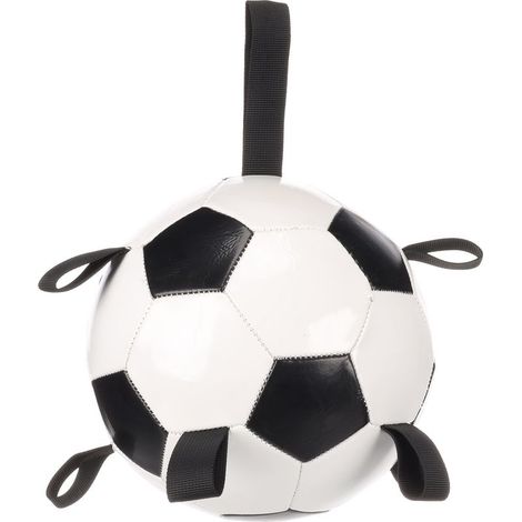 Jeu de football pour chien blanc de 19 cm (1/3)