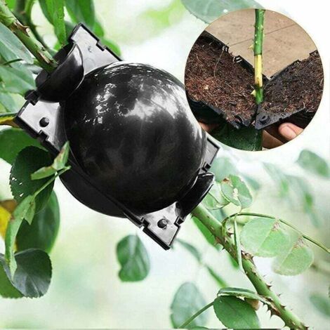 15 Pièces Boule de Propagation de Boîte d'Enracinement des Plantes, Boîte de Greffe Boîte de Balle de Propagation à Haute Pression Dispositif d'Enracinement des Plantes (l+m+s, Noir) (1/3)