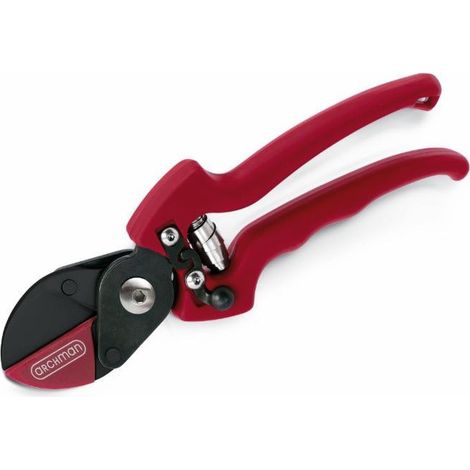 Sécateur professionnel de taille lame téflon enclume droite L 210 mm coupe Ø 25 mm (1/3)
