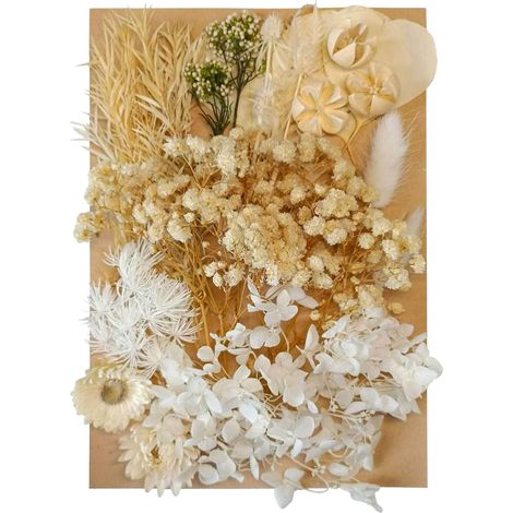 Fleurs et feuilles séchées, fleurs séchées pressées mélangées à diverses créations florales artificielles décoratives naturelles, beige-AquaForge (1/5)