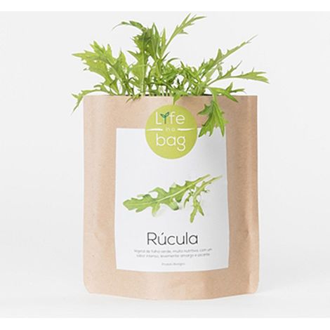 Kit bio prêt à pousser Roquette (1/4)