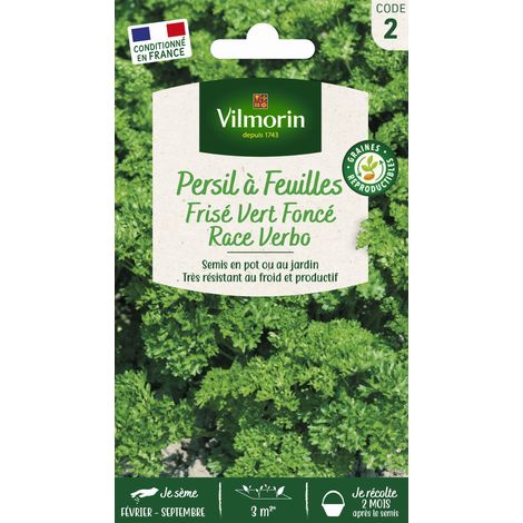 Vilmorin - Persil Frisé Race Verbo (1/2)