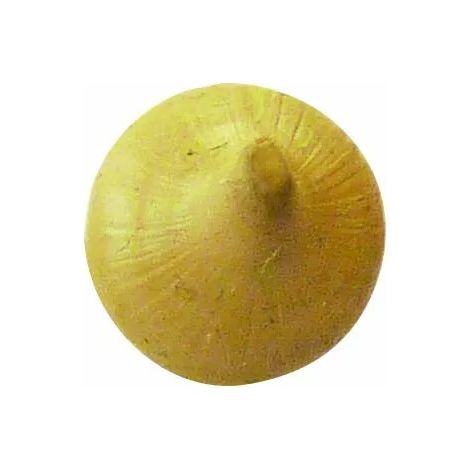 CARTOUCHE 310ML MASTIC CHENE MOYEN PONCABLE VERNISSABLE