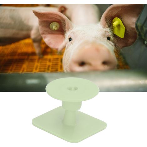 100 jeux/vendeur d'étiquettes auriculaires de porc ordinaires et simples, étiquettes auriculaires de porc carrées, étiquettes auriculaires de porc vétérinaires, vertes (1/5)