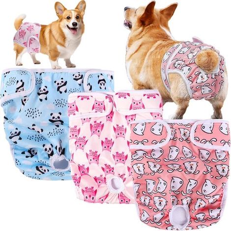 Confezione da 3 pannolini lavabili per cani. Pannolini riutilizzabili per cagne. Super assorbenti e regolabili. Mutandine per cani incontinenza, ideali per le passeggiate. (1/5)