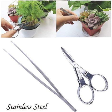 Ensemble d'outils de jardinage mini pour plantes succulentes et transplantation (1/5)