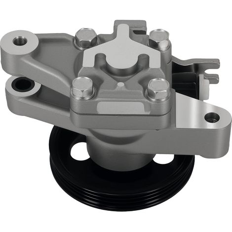 Power Steering Pump For Hyundai Tucson Kia Sportage JE KM 2.0 G4GC 571002E000 (1/5)