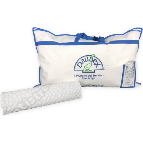 OREILLER EN DUVET D'OIE ISSIMO DAUNEX AVEC COUVERCLE TEXFAMILY MASSAGE (1/4)