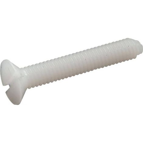 100 Vis Tête Fraisée Fendue 10 x 30 mm - TYPE DIN 963 - ISO 2009 - NFE25-123 - UNI 6109 - Nylon 6.6 - D-Work