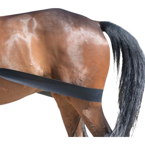 EQuest Körper Bandage, schwarz - Trainingshilfsmittel für Pferde, M (1/4)