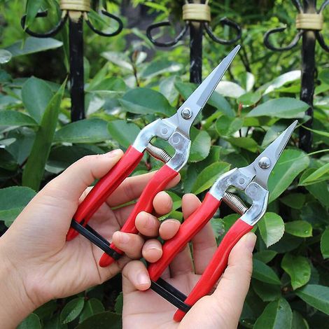 Forbici da potatura per alberi in acciaio inossidabile, tagliaerba e frutta, cesoie da giardinaggio per rami.