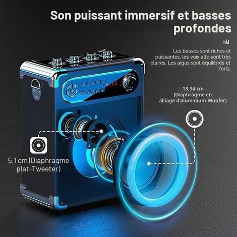 Enceinte Bluetooth Portable avec 2 Microphones sans Fil, Enceinte avec DJ Lumières, Haut-Parleur pour Soirée, Fêtes, Système de Son Support USB/TF Carte/AUX/FM/Rec, Noir (1/4)