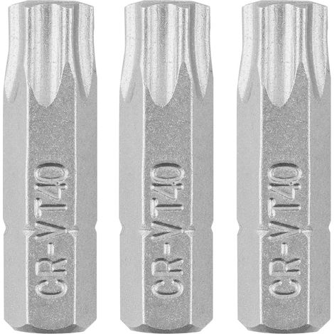Puntas Torx T40 x 25 mm, 3 unidades. (1/3)