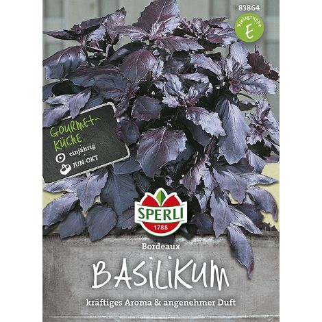 Sperli Basilikum Bordeaux rotblättrig - Kräutersamen (1/2)