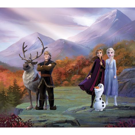 Rideaux Disney La Reine des Neiges 2 - modèle dans la forêt - 2 pièces 90x160 (1/5)