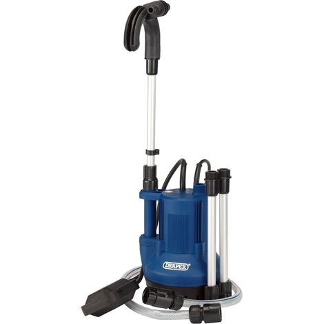 Pompe Submersible avec Interrupteur à Flotteur 40 l 350 W 230 V (1/5)