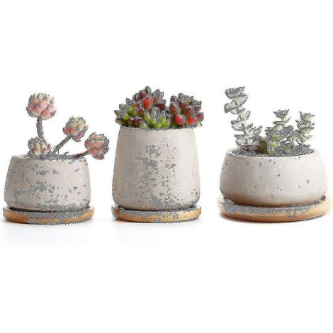 Ensemble de 3 pots en ciment pour plantes succulentes avec soucoupe en bois, pot gris pour cactus et petits bonsaïs (1/5)