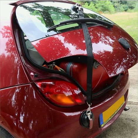Ventouse de fixation avec crochet, ventouse robuste pour voiture, ventouse multifonctionnelle et puissante pour animaux de compagnie (1/5)