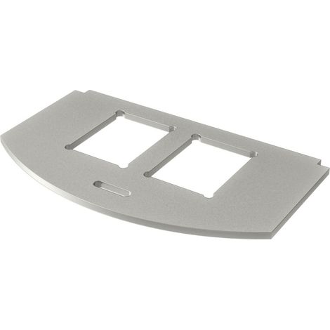 OBO Bettermann Piastra di montaggio per GES R2 per 2x tipo C Acciaio inossidabile, inossidabile A2 1.4301, 7408806