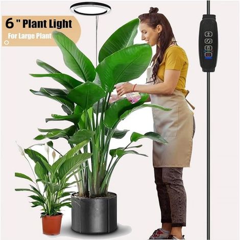Wachstumslampe für Zimmerpflanzen – Höhenverstellbarer LED-Spot mit Lichtaura, ideal für Zierpflanzen, aromatische Kräuter und Aussaat