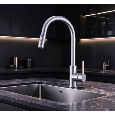 DUSCHPARADIES Küchenarmatur Ausziehbar Zink Messingkern KTW 360° Drehbar 2 Strahlarten Hochbogen Einhebelmischer Mischbatterie Chrom (1/5)