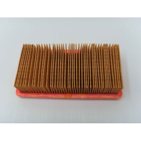 Filtro aria rasaerba tagliaerba Geotec-Geotec OHV TECUMSEH 23410061 199005 (1/4)