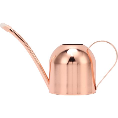 Arrosoir en acier inoxydable rose, à long bec, pour plantes, fleurs, bonsaïs et pots, en intérieur comme en extérieur.-AquaForge (1/5)