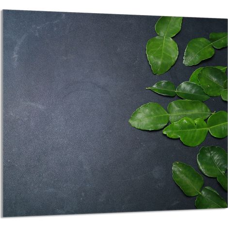 PANNELLO IN VETRO PER CUCINA 65x60 Ardesia (1/5)