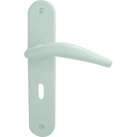 DT 2000 602530 Poignée de porte sur plaque aluminium acier serrure Blanc