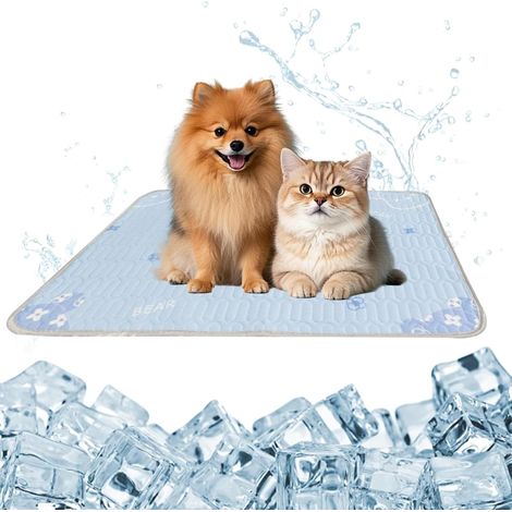 Latex Tapis Rafraichissant Chat, 50x70cm Tapis Rafraichissant Chien, Portable Tapis Rafraichissant pour Chien, Tapis Refroidissant pour Chat, Tapis Fraicheur Chien Chat pour Journées D'été (1/5)