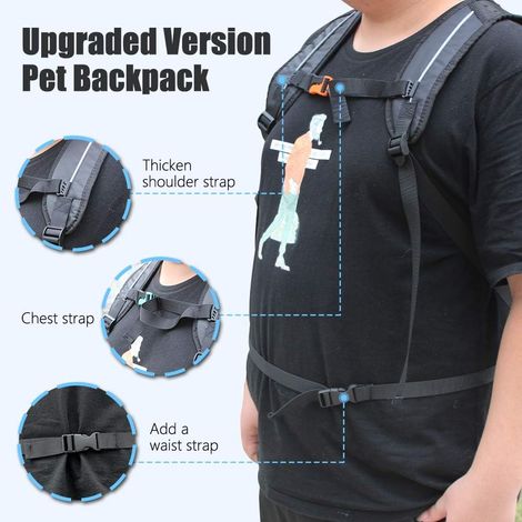 1 Sac à dos pour chien, sangle de taille, mousse épaisse, coussinet large, voyage randonnée (1/5)